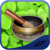 Ayurvedic Remedies