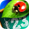 Bugs and Numbers