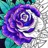 Coloring Book - Color by Number Paint by Number