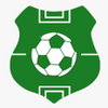 FPL Fantasy Football Manager for Premier League