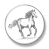 Horse Racing Latest News