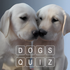How Many Of These Dog Breeds Do You Know