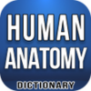 Human Anatomy Dictionary Offline