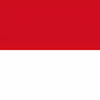 Indonesia VPN - Plugin for OpenVPN