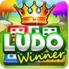 Ludo Game : Ludo Winner