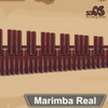 Marimba Xylophone Vibraphone Real