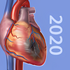 Physiology Pathology