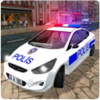 Real Police Car Driving Simula