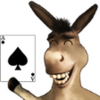 The Donkey