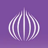 TOR Browser: OrNET Onion Web