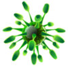 Viruses
