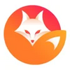 Vixen VPN: fast secure