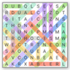 Word Search
